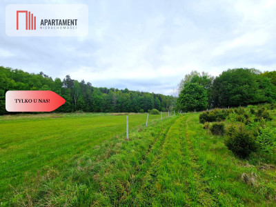 Działki w Miradowie Promocja - Miradowo  -
Pomorskie Zdjęcie nr 10