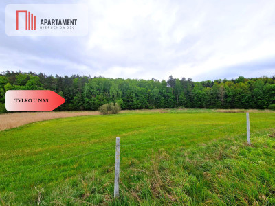Działki w Miradowie Promocja - Miradowo  -
Pomorskie Zdjęcie nr 11