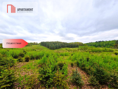 Działki w Miradowie Promocja - Miradowo  -
Pomorskie Zdjęcie nr 12