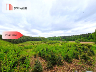 Działki w Miradowie Promocja - Miradowo  -
Pomorskie Zdjęcie nr 13