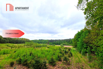 Działki w Miradowie Promocja - Miradowo  -
Pomorskie Zdjęcie nr 14