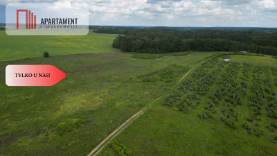 Działki w Miradowie Promocja - Miradowo  -
Pomorskie Zdjęcie nr 2