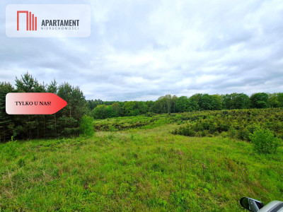 Działki w Miradowie Promocja - Miradowo  -
Pomorskie Zdjęcie nr 7