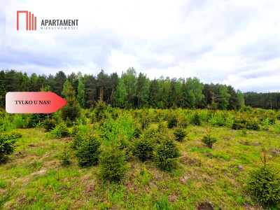 Działki w Bietowie Promocja - Bietowo  -
Pomorskie Zdjęcie nr 10