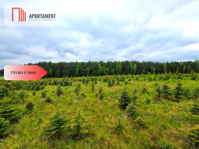 Działki w Bietowie Promocja - Bietowo  -
Pomorskie Zdjęcie nr 12