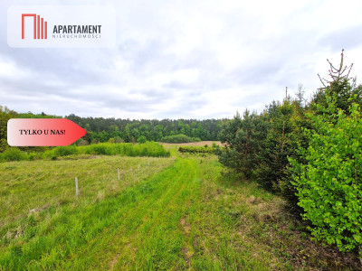 Działki w Miradowie i Bietowie Promocja - Miradowo  -
Pomorskie Zdjęcie nr 10