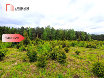 Działki w Miradowie i Bietowie Promocja - Miradowo  -
Pomorskie Zdjęcie nr 13