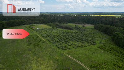 Działki w Miradowie i Bietowie Promocja - Miradowo  -
Pomorskie Zdjęcie nr 3