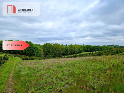 Działki w Miradowie i Bietowie Promocja - Miradowo  -
Pomorskie Zdjęcie nr 8