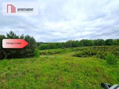 Działki w Miradowie i Bietowie Promocja - Miradowo  -
Pomorskie Zdjęcie nr 9