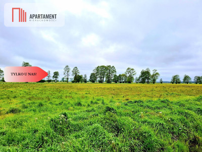 Dziemionna 730 m2 z warunkami zabudowy - Dziemionna  -
Kujawsko-Pomorskie Zdjęcie nr 3