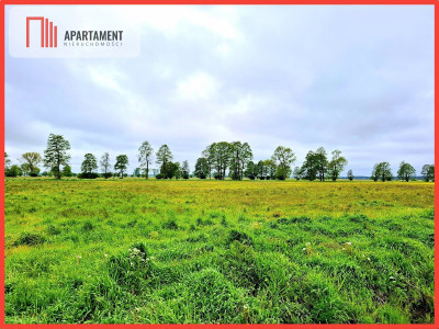 Dziemionna 1440 m2 z warunkami zabudowy - Dziemionna  - Kujawsko-Pomorskie