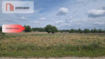 Działka z warunkami zabudowy - Pędzewo  -
Kujawsko-Pomorskie Zdjęcie nr 3
