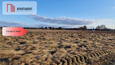 Działka z warunkami zabudowy - Pędzewo  -
Kujawsko-Pomorskie Zdjęcie nr 5