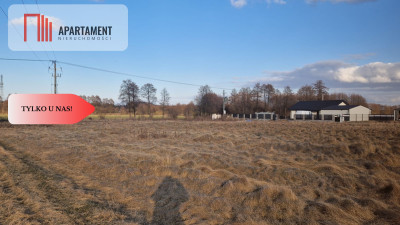 Działka z warunkami zabudowy - Pędzewo  - Kujawsko-Pomorskie