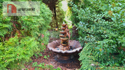 Tylko u nas Działka ROD   dobra cena  - Wudzyn  -
Kujawsko-Pomorskie Zdjęcie nr 10