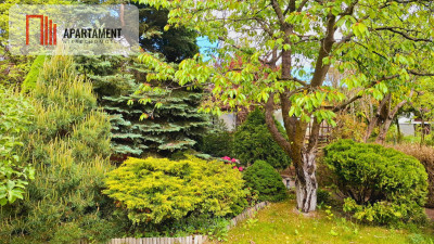 Tylko u nas Działka ROD   dobra cena  - Wudzyn  -
Kujawsko-Pomorskie Zdjęcie nr 2