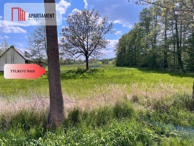 Malownicze działki wśród natury w Niesułowicach - Niesułowice  -
Dolnośląskie Zdjęcie nr 10