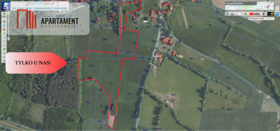 Malownicze działki wśród natury w Niesułowicach - Niesułowice  -
Dolnośląskie Zdjęcie nr 11