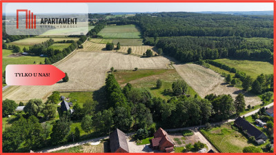 Malownicze działki wśród natury w Niesułowicach - Niesułowice  - Dolnośląskie