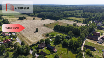 Malownicze działki wśród natury w Niesułowicach - Niesułowice  -
Dolnośląskie Zdjęcie nr 2