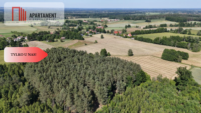 Malownicze działki wśród natury w Niesułowicach - Niesułowice  -
Dolnośląskie Zdjęcie nr 5