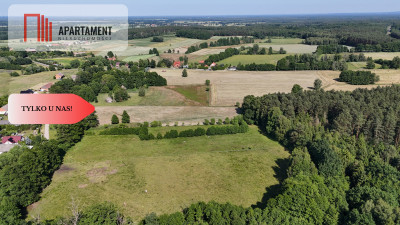 Malownicze działki wśród natury w Niesułowicach - Niesułowice  -
Dolnośląskie Zdjęcie nr 6