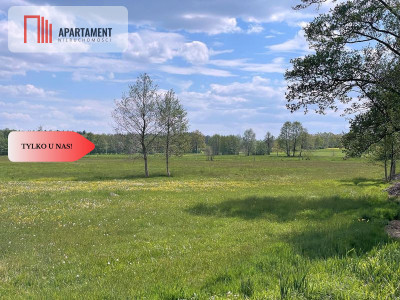 Malownicze działki wśród natury w Niesułowicach - Niesułowice  -
Dolnośląskie Zdjęcie nr 8