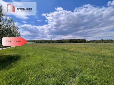 Malownicze działki wśród natury w Niesułowicach - Niesułowice  -
Dolnośląskie Zdjęcie nr 9