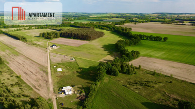 Okolice Trzebnicy Duża działka z mediami Bez PCC - Komorowo  -
Dolnośląskie Zdjęcie nr 6