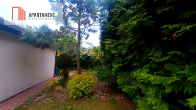 OKAZJA DOMEKPLAŻA LASYWIERZCHUCINEK rod  - Wierzchucinek  -
Kujawsko-Pomorskie Zdjęcie nr 7