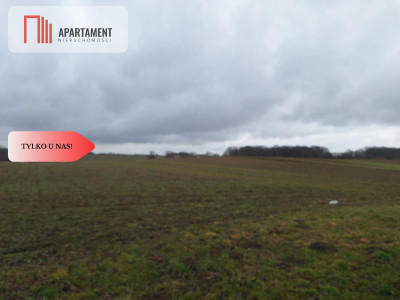 Działka Rolna Rogów Wołowskigm Wińsko - powiat wołowski  -
Dolnośląskie Zdjęcie nr 2