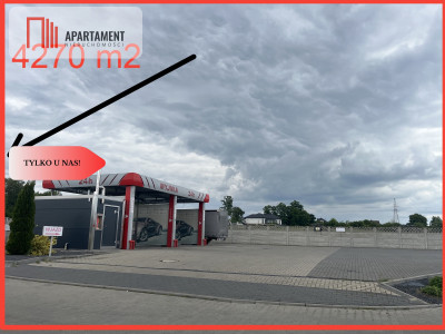 Atrakcyjna działka Przygodzice - Przygodzice  - Wielkopolskie