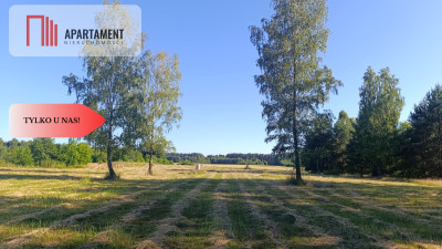 Działki w otoczeniu lasów Malerzów k Twardogóry - Malerzów  -
Dolnośląskie Zdjęcie nr 8