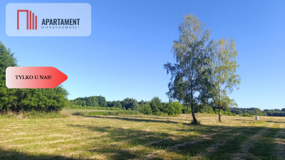 Działki w otoczeniu lasów Malerzów k Twardogóry - Malerzów  -
Dolnośląskie Zdjęcie nr 9