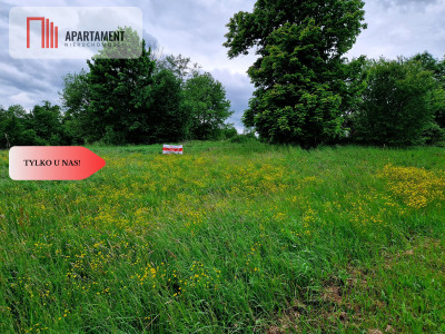 Okazja Działkaspokojnacicha okolica - Nagodzice  -
Dolnośląskie Zdjęcie nr 2