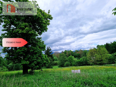 Okazja Działkaspokojnacicha okolica - Nagodzice  -
Dolnośląskie Zdjęcie nr 3