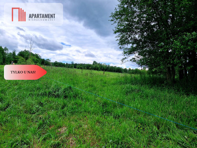 Okazja Działkaspokojnacicha okolica - Nagodzice  -
Dolnośląskie Zdjęcie nr 4