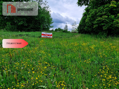 Okazja Działkaspokojnacicha okolica - Nagodzice  -
Dolnośląskie Zdjęcie nr 5