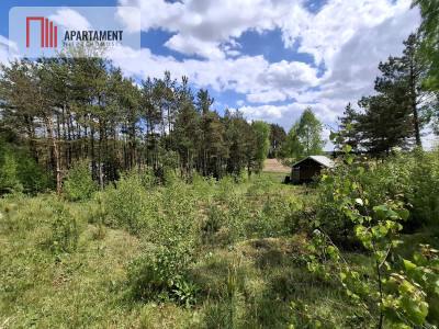 Piękna działka na Kaszubach z warunkami zabudowy - powiat bytowski  -
Pomorskie Zdjęcie nr 3