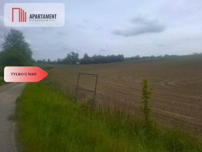 TYLKO U NAS  ATRAKCYJNA BLISKO CHEŁMNA - Grubno  -
Kujawsko-Pomorskie Zdjęcie nr 6