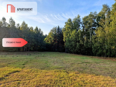 Działka budowlana przy lesie pod Bydgoszczą - Czarże  -
Kujawsko-Pomorskie Zdjęcie nr 2