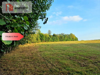 Działka budowlana przy lesie pod Bydgoszczą - Czarże  -
Kujawsko-Pomorskie Zdjęcie nr 3