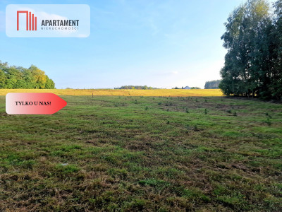 Działka budowlana przy lesie pod Bydgoszczą - Czarże  -
Kujawsko-Pomorskie Zdjęcie nr 4