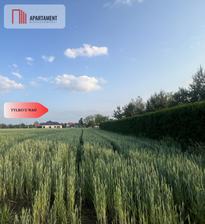 PIĘKNE Działki Budowlane pod Bolesławcem Kruszyn - Kruszyn  -
Dolnośląskie Zdjęcie nr 3