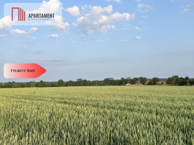 PIĘKNE Działki Budowlane pod Bolesławcem Kruszyn - Kruszyn  -
Dolnośląskie Zdjęcie nr 4