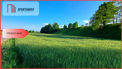 TYLKO U NAS  DZIAŁKI BUDOWLANE Z WZ  - Liniewo  - Pomorskie