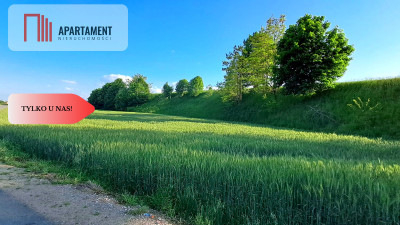 TYLKO U NAS  DZIAŁKI BUDOWLANE Z WZ  - Liniewo  -
Pomorskie Zdjęcie nr 2