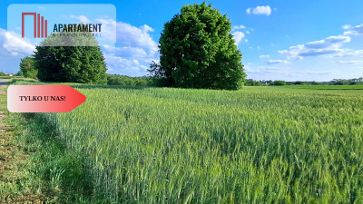 TYLKO U NAS  DZIAŁKI BUDOWLANE Z WZ  - Liniewo  -
Pomorskie Zdjęcie nr 3