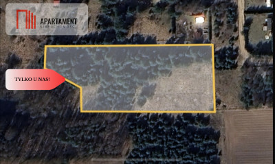 Działki w Osowie Leśnym - Osowo Leśne  -
Pomorskie Zdjęcie nr 9